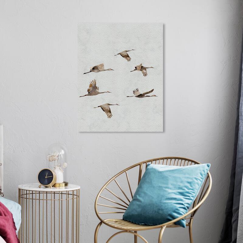 Wynwood Studio Canvas Animals Taking flight White and Modern & Contemporary Wall Art Canvas Print - White, Brown - 24 x 20
