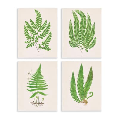 Stupell Subtle Green Fern Branches Wall Plaque Art Design By Phillipa Katz (Set of 4)