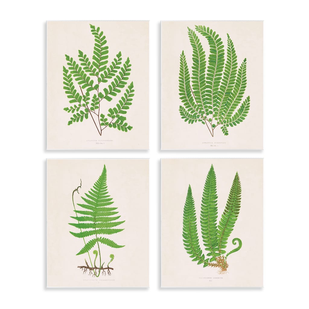 Stupell Subtle Green Fern Branches Wall Plaque Art Design By Phillipa Katz (Set of 4)