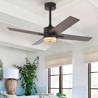 48 Inch Black LED Ceiling Fan with Lights Remote(4-Blade)