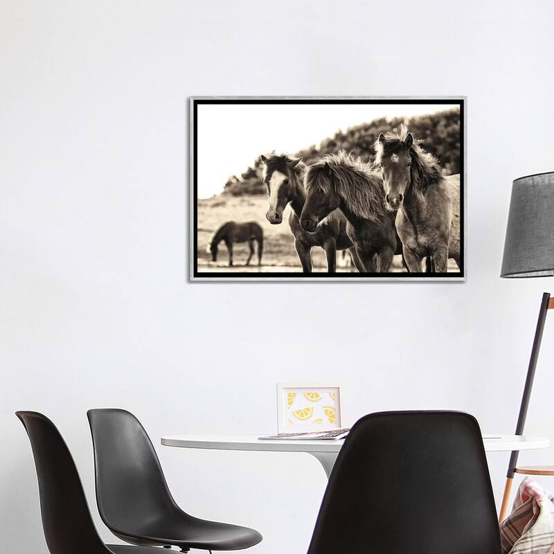iCanvas "Horses Three Sepia" by Aledanda Framed