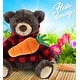 preview thumbnail 5 of 4, DolliBu Happy Easter Plush Brown Bear with Red Plaid Hoodie and Carrot - 10 inches