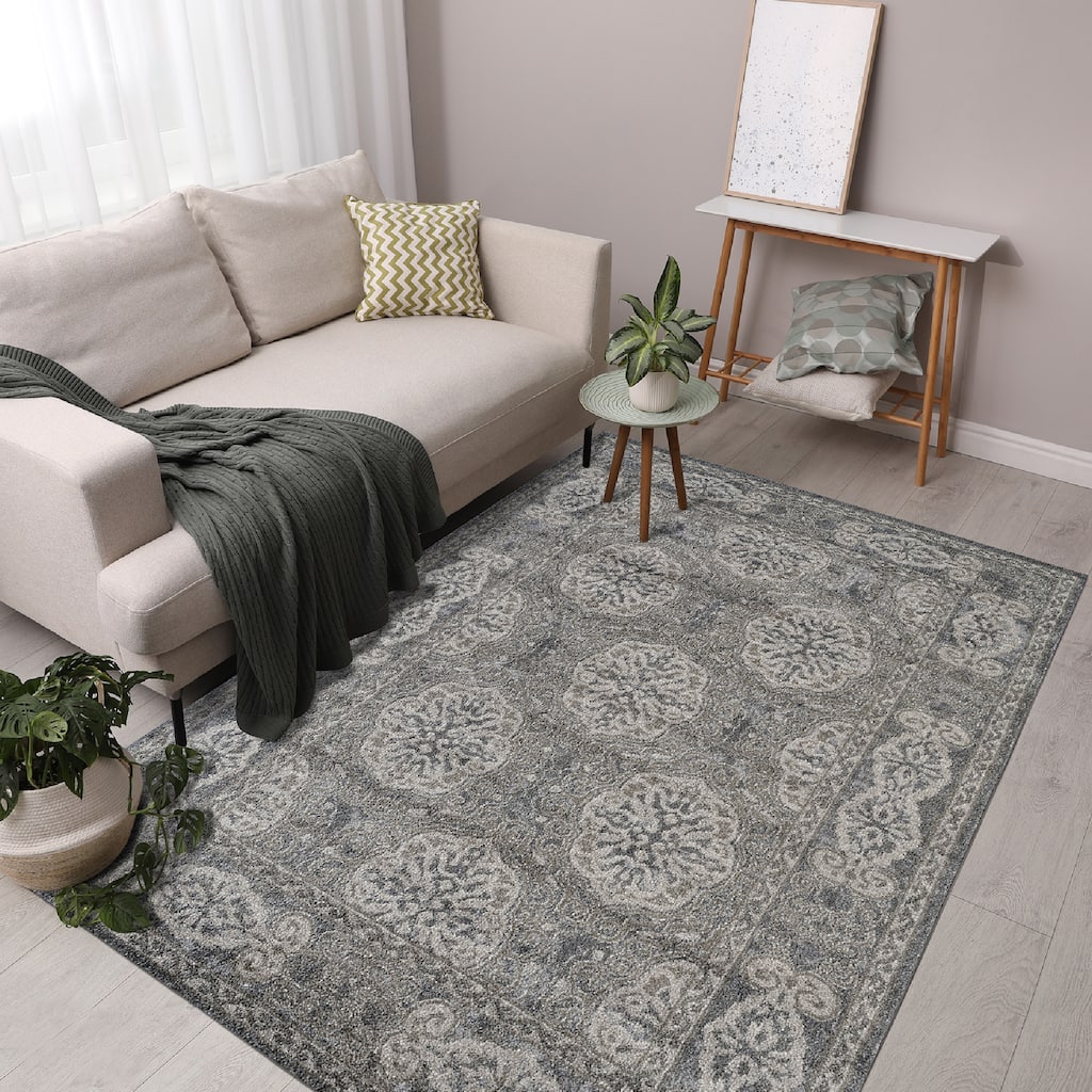 Aurelia Modern Farmhouse Medallion Area Rug