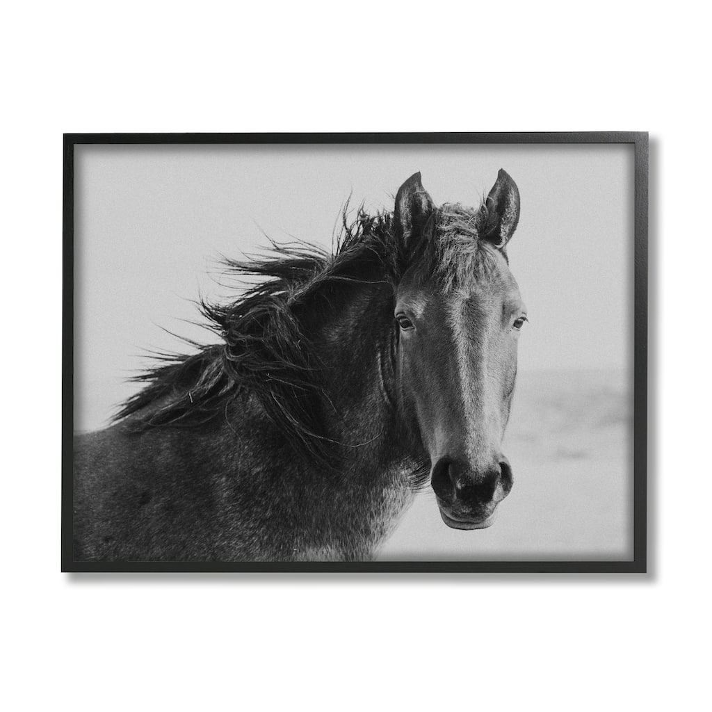 Stupell Black Stallion Equestrian Portrait Vintage Horse Photography Framed Wall Art - Grey