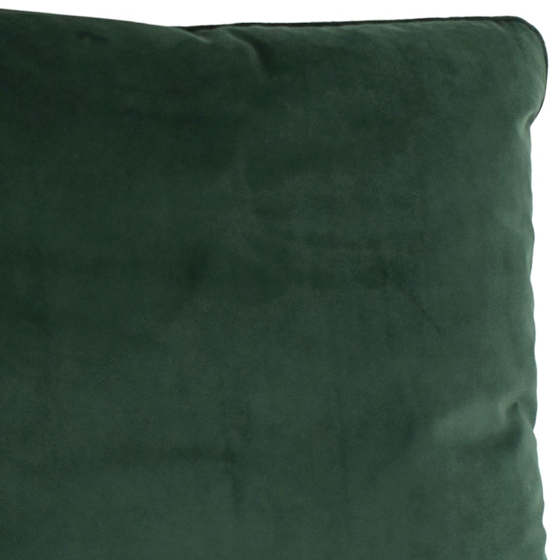 Sonora Plush Velvet 20x20 Square Throw Pillow, Dark Green