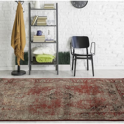 Antique Collection Traditional Area Rug