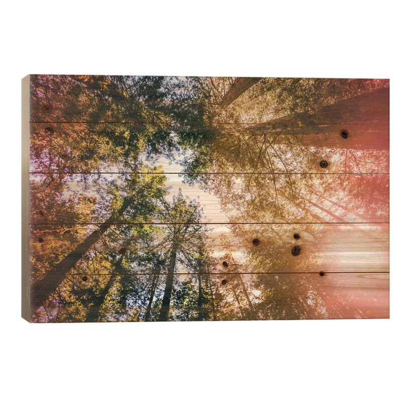California Redwoods, Sun-rays, and Sky Print On Wood by Elena Kulikova - Multi-Color - 26x40x1.5