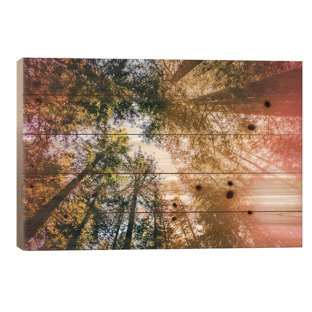California Redwoods, Sun-rays, and Sky Print On Wood by Elena Kulikova - Multi-Color