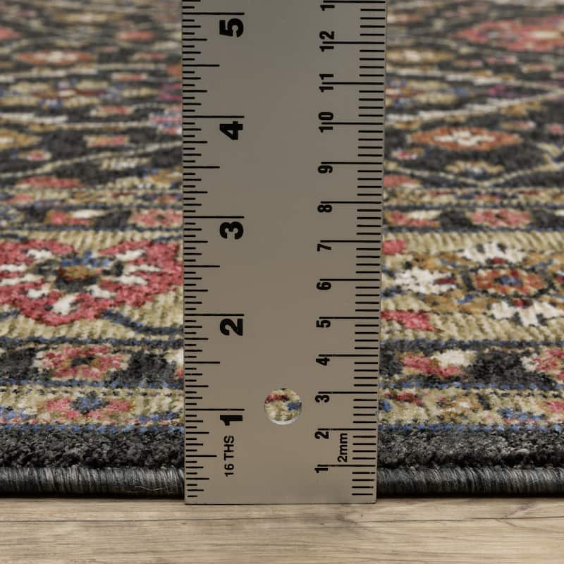Style Haven Henretta Bordered Traditional Fringe Edge Area Rug