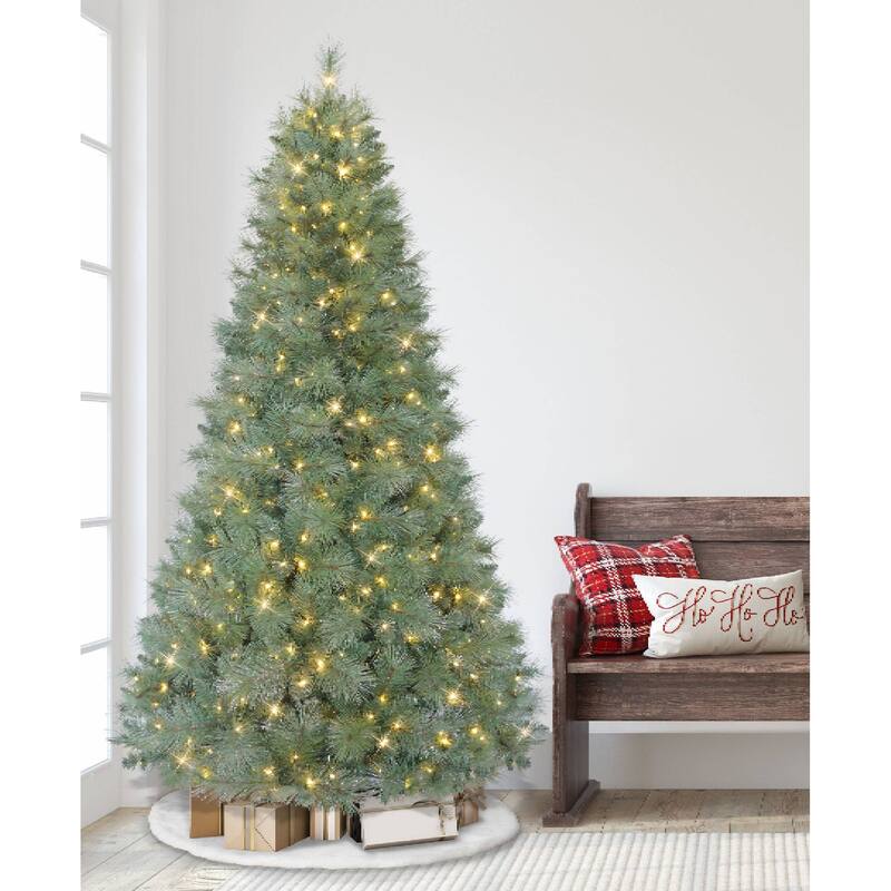 7.5ft Pre-lit Windham Fir, 1099 Branch Tips, 500 Warm White LED Rice Lights