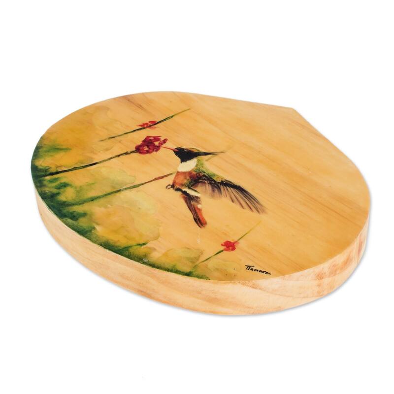 Novica Handmade Hungry Hummingbird Wood Plaque