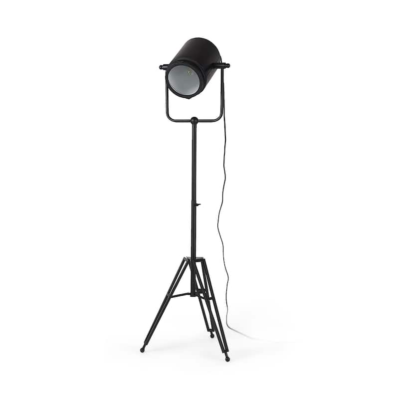Debdou Gold Metal Adjustable Cinema-Style Floor Lamp - 22"W x 22"D x 61"H - Black