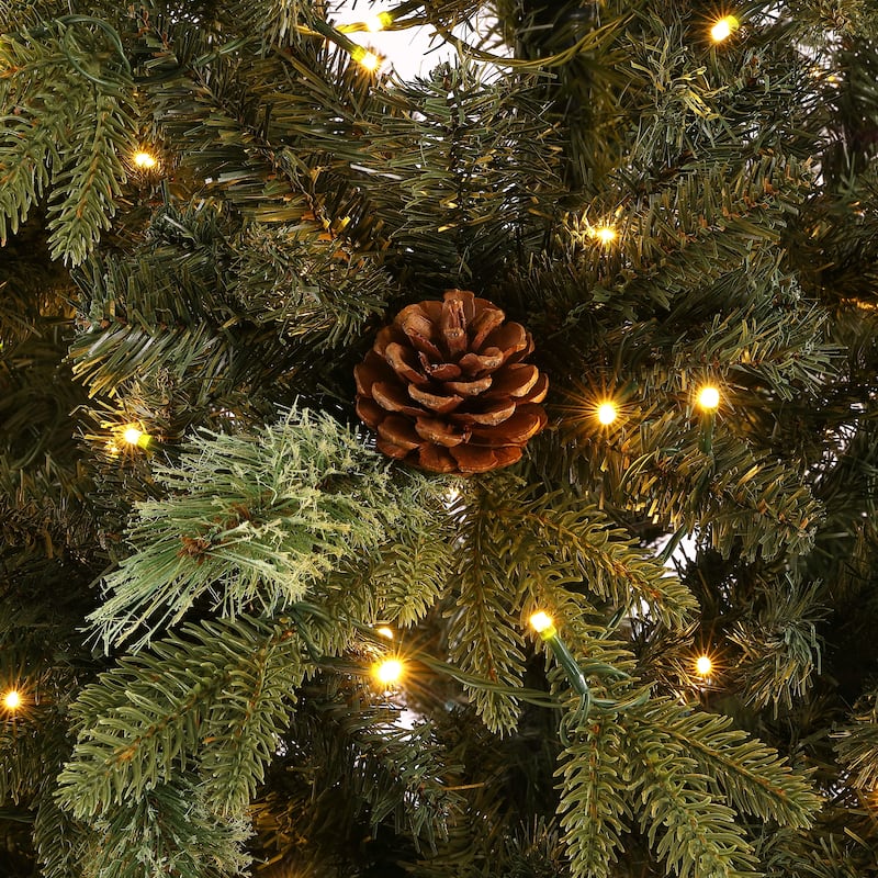 SAFAVIEH Vernita 5.5 Ft, Pre-Lit Artificial Christmas Tree with Pine Cones - 42" W x 42" D x 66" H - 42"Wx42"Dx66"H