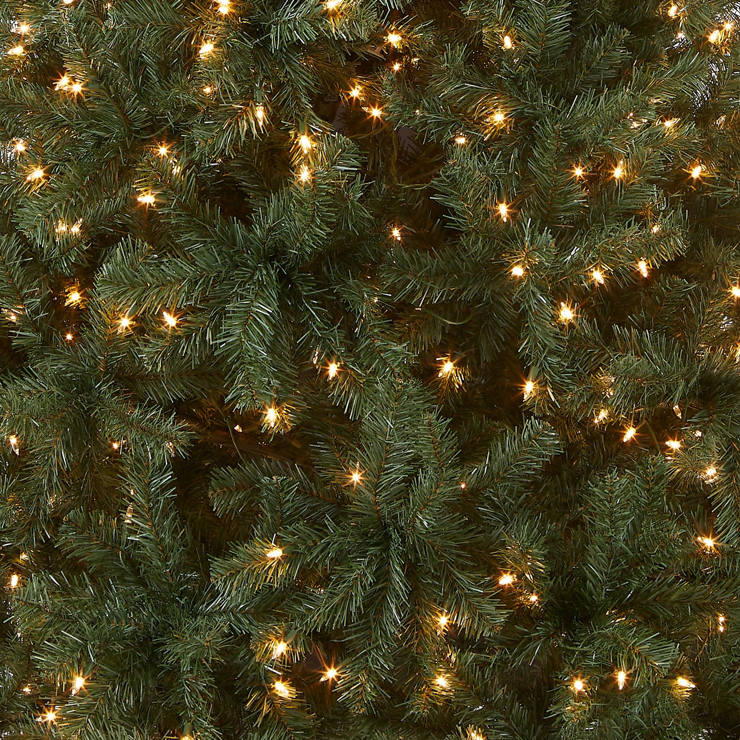 6.5foot North Valley Blue Spruce Holiday Tree with Clear Lights On