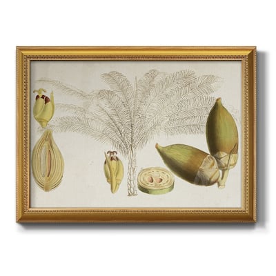 Tropical Foliage & Fruit VIII Premium Framed Canvas- Ready to Hang