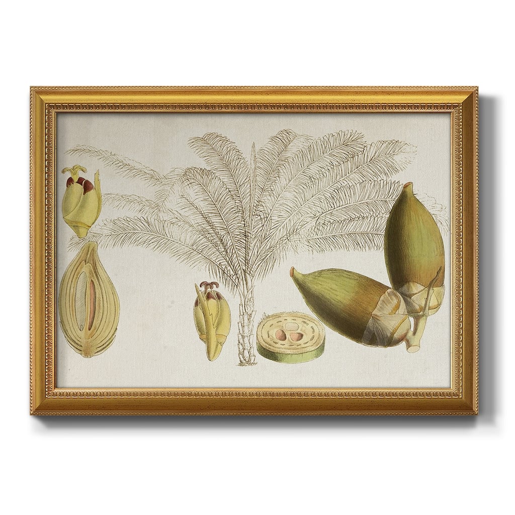 Tropical Foliage & Fruit VIII Premium Framed Canvas- Ready to Hang