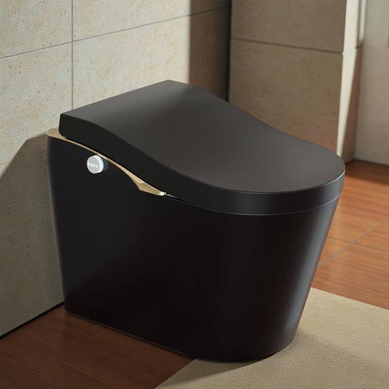 Modern Smart Toilet with Bidet. Auto Open Close. Auto Flush. Heated Seat. Warm Water. Dryer. Foam Shield - Black