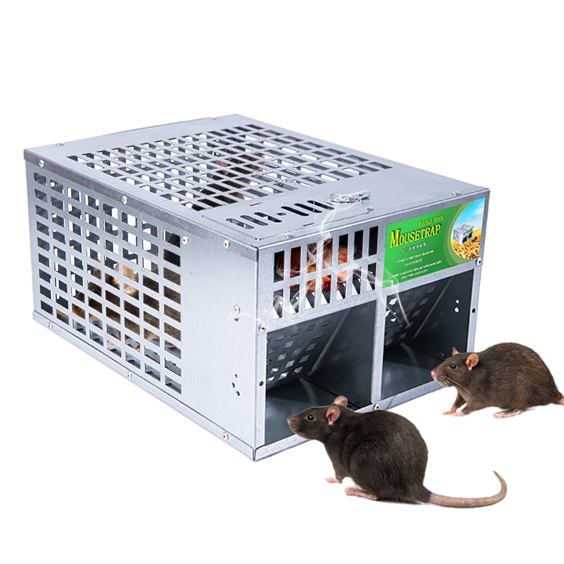 Metal Rat Trap Live Chipmunk Mouse Cage Trap Bait Rodent Repeller Catch for  Indoor Outdoor No Mouse