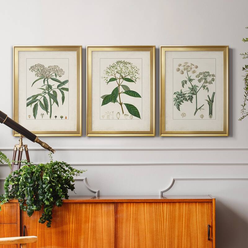 Antique Turpin Botanical VII Premium Framed Canvas - Ready to Hang - Multi-Color