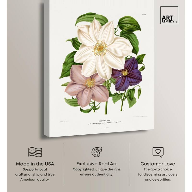 Clematis Canvas by Art Remedy, Gallery Wrapped