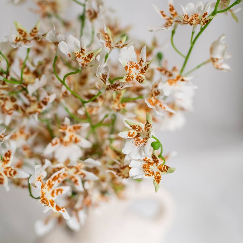Silk Decorative Artificial Dancing Lady Orchid(Pack of 1 Branch)