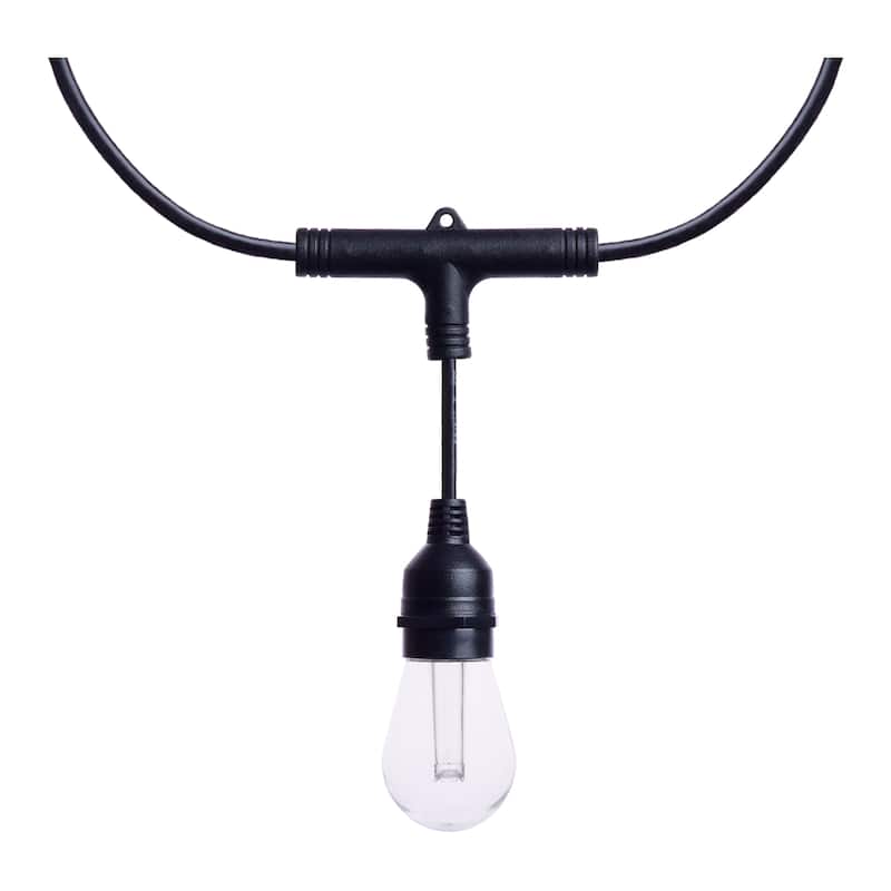Starfish 24 Foot LED String Light 12-S14 Lamps IOT RGBTW Black 120 Volt