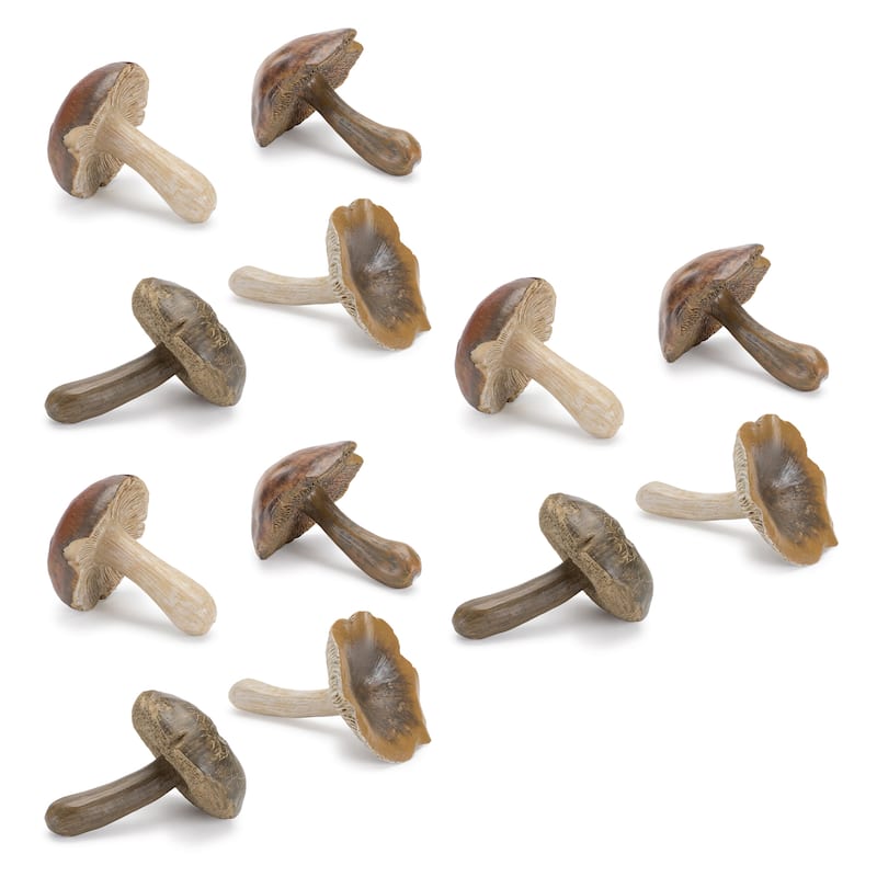 Stone Mushroom Shelf Sitter (Set of 12)