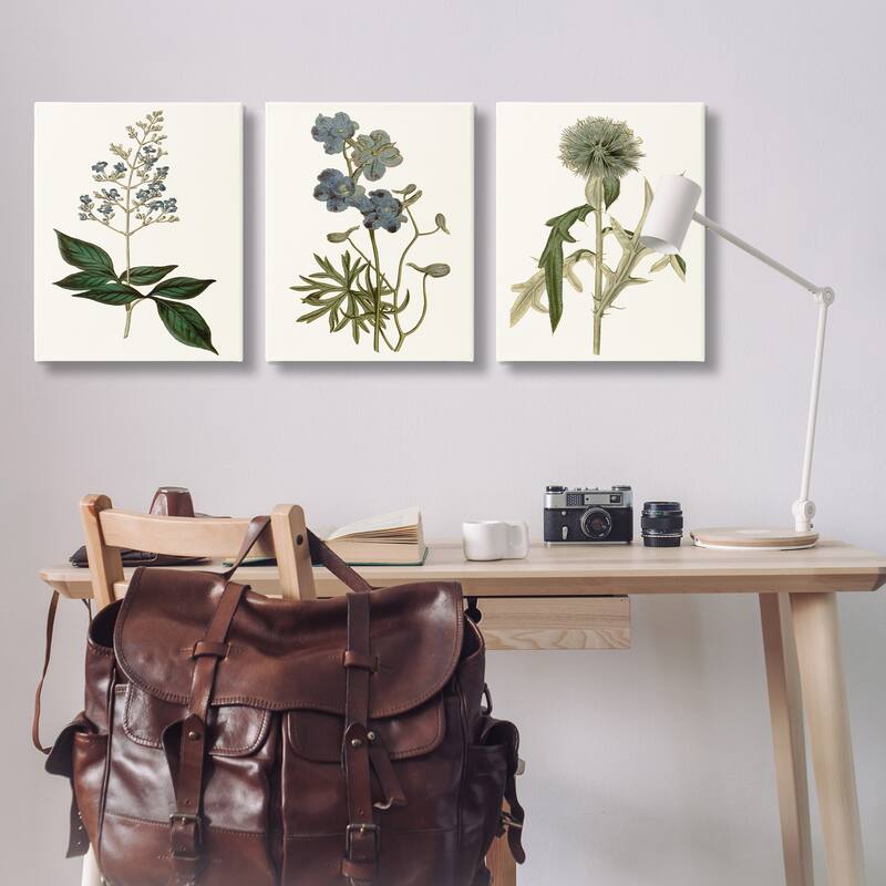 Stupell Vintage Blue Botanical Flowers on Beige, 3pc Multi Piece Canvas Wall Art Set