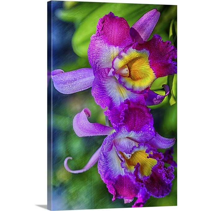 Shop Cattleaya Orchids Growing In Hawaii Canvas Wall Art Overstock 21003101