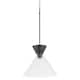 Option Matte Black / Clear Glass