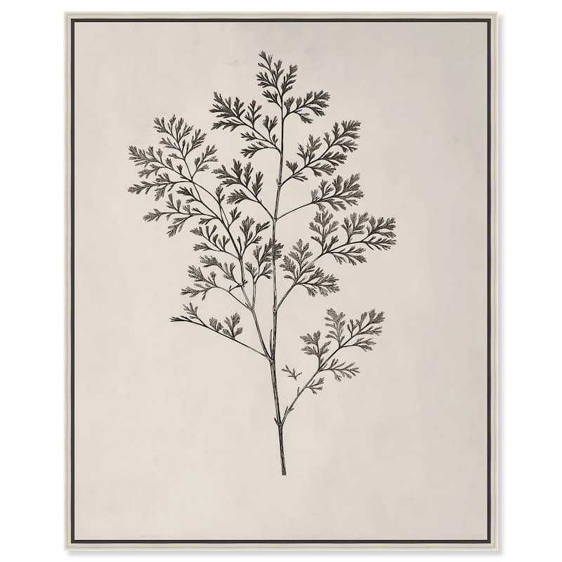 Aniseed Anatomy II Canvas Delicate Floral by Art Remedy - Silver - 16" x 20"