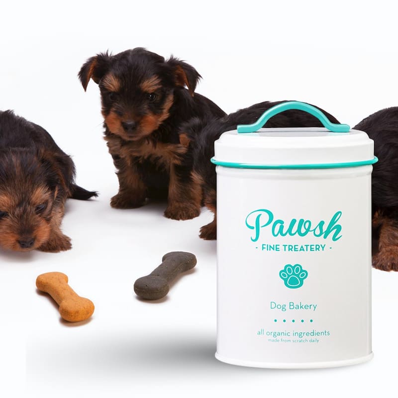 Amici Pet Pawsh Mint Fine Treatery Storage Canister - 44 oz
