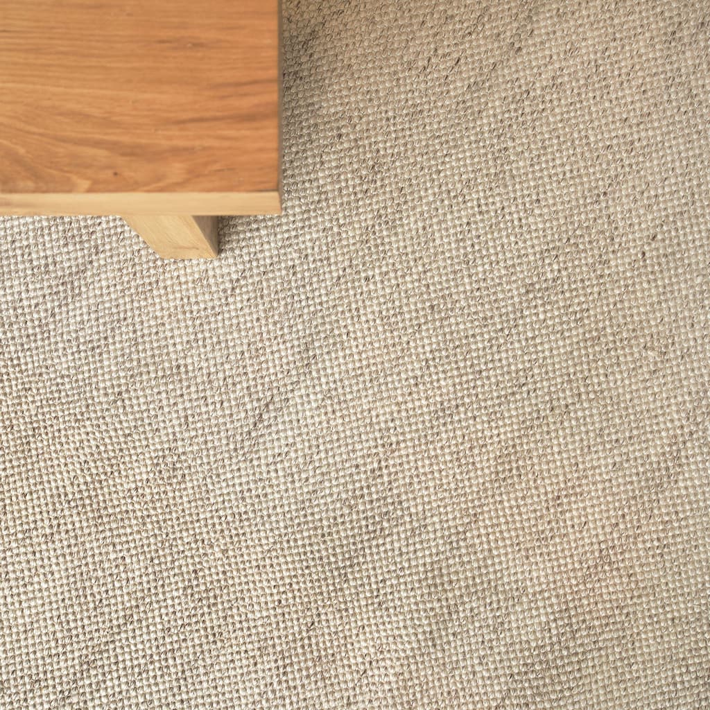 EXQUISITE RUGS Rhodes Hand-loomed PET yarn Beige Area Rug.
