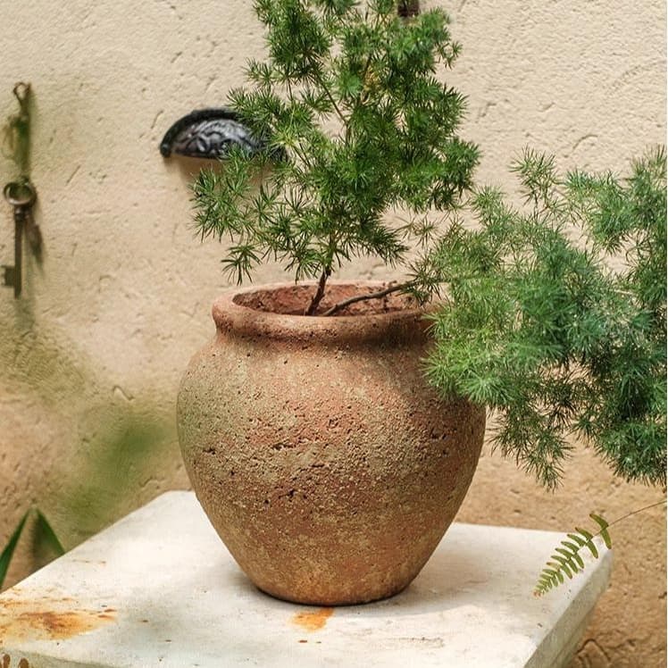 RusticReach Distressed Cement Plant Pot