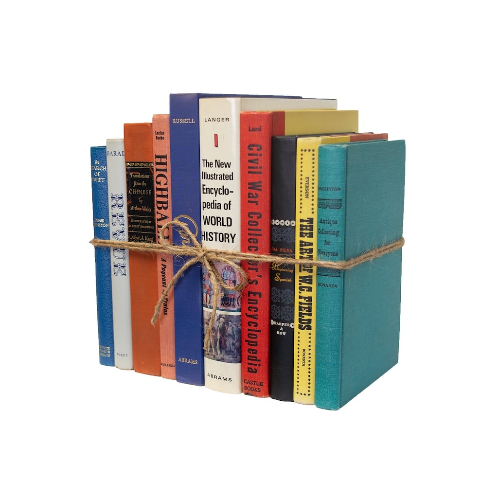 Books Decorative Accessories: Vintage Oversized Mix ColorPak