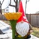 preview thumbnail 14 of 13, Exhart Solar Sunflower Simon Garden Gnome Statue, 12 Inch