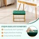 preview thumbnail 64 of 74, Upholstered Tufted Velvet Ottoman, Modern End of Bed Bench with Golden Metal Frame, Entryway Footrest Stool