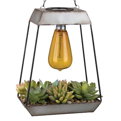 Edison Succulent Solar Lantern - Pyramid