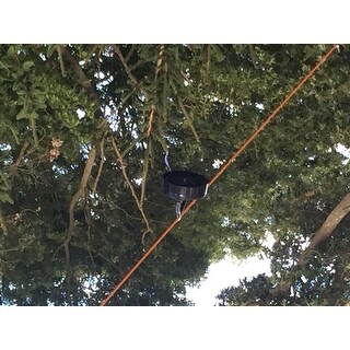 Shop Pure Garden Outdoor Solar Chinese Lanterns - LED - Set of 4 - Blue