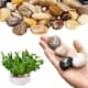 Option Natural River Stone