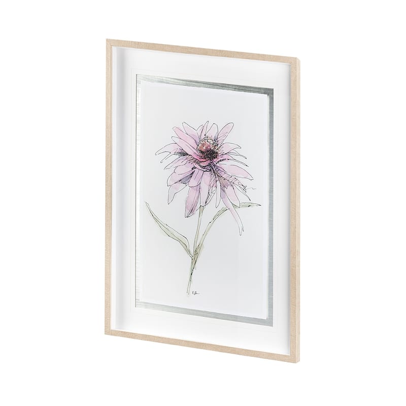 Echinacea I Framed Art Print