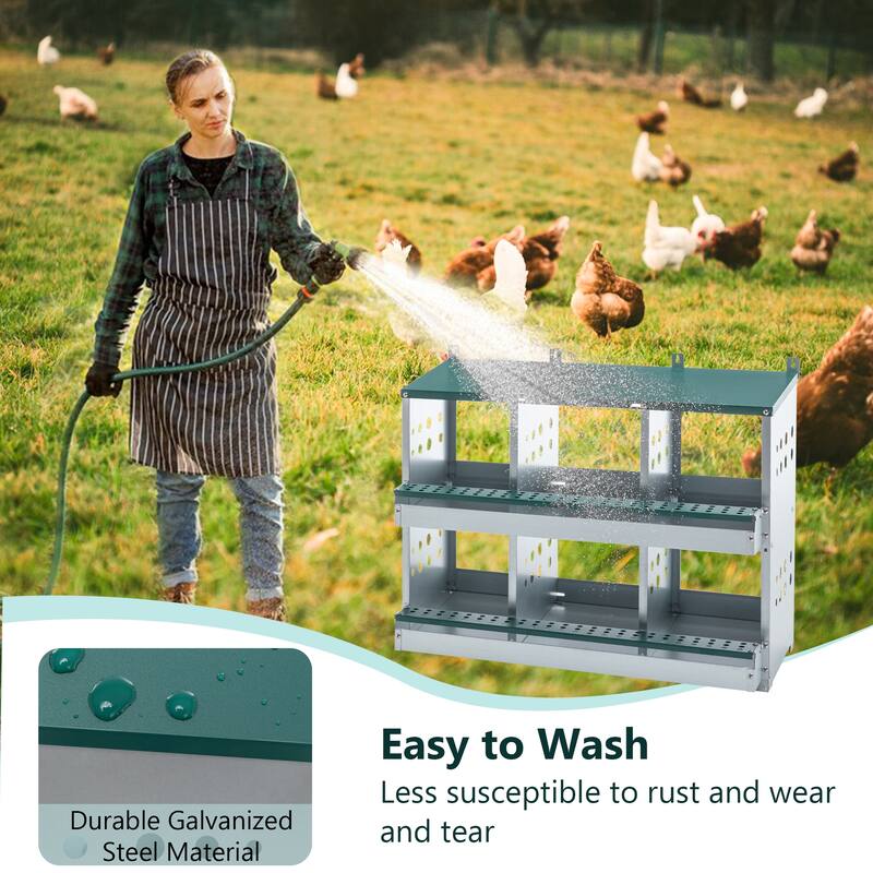 6-Compartment Roll Away Chicken Nesting Box - Egg Laying Box, Green