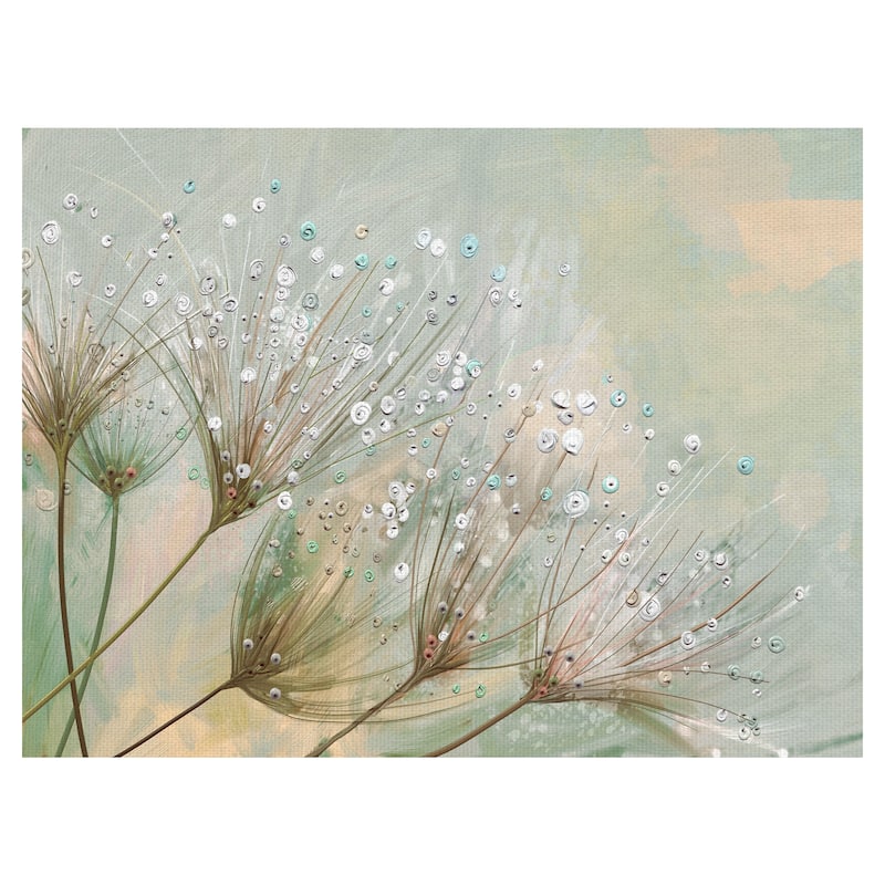 Dewdrop Colors by Studio Arts Canvas Art Print