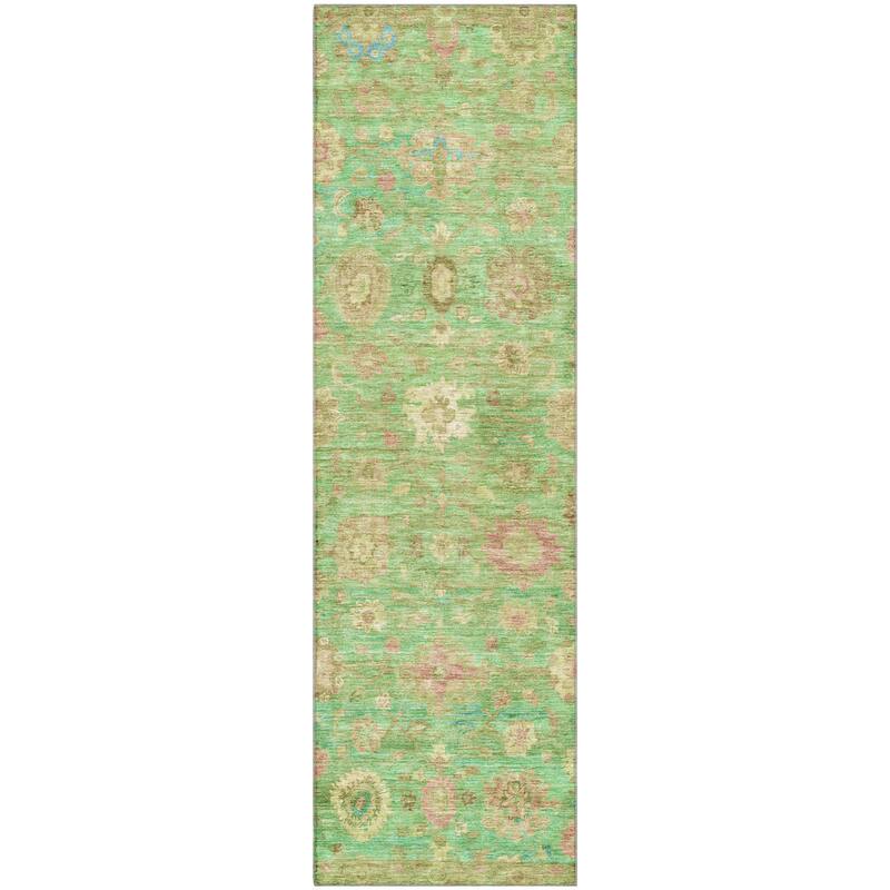 Premium Washable Super Soft Vintage Traditional Mayfield Rug