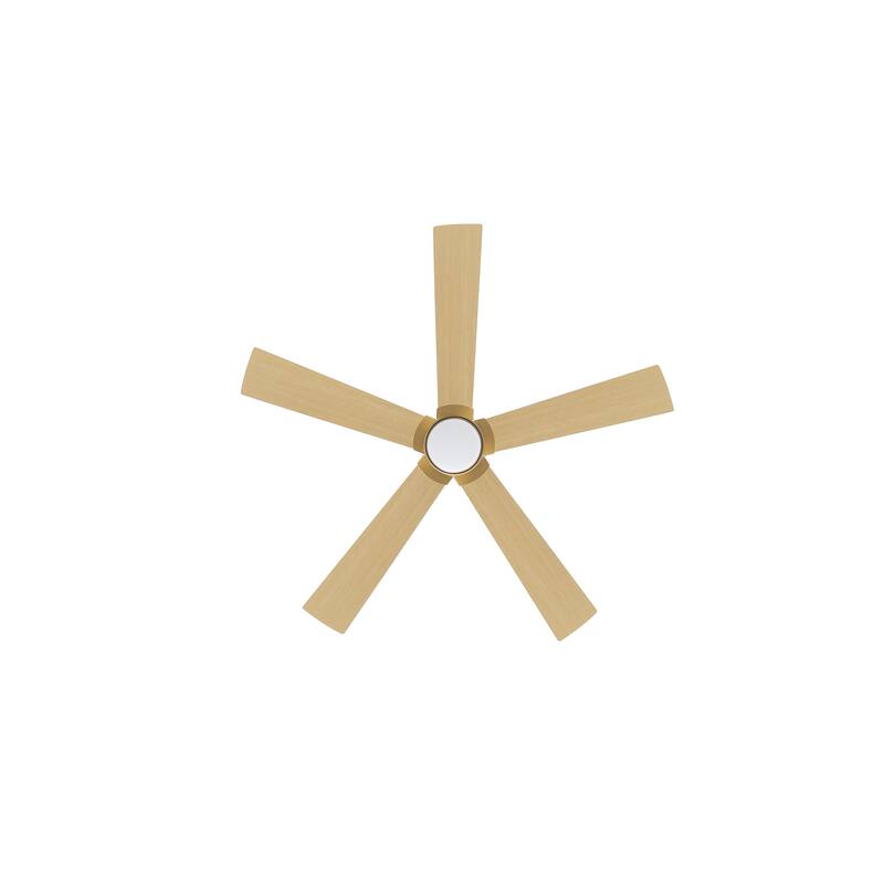 MLiAN 54 In. 5 Blades Indoor LED Ceiling Fan with Remote Control - 54"