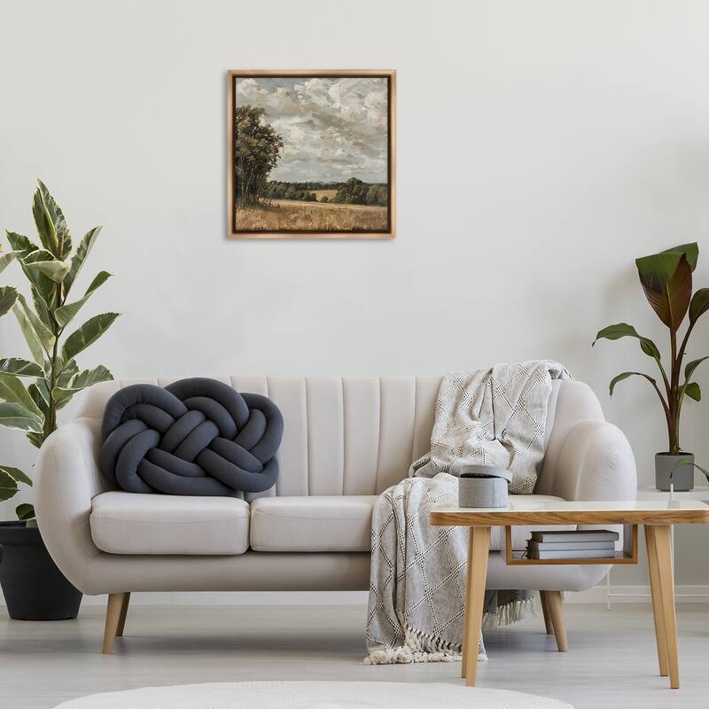 Stupell Clouds Over Country Scenery Framed Floater Canvas Wall Art Design By LSR Creative Studio