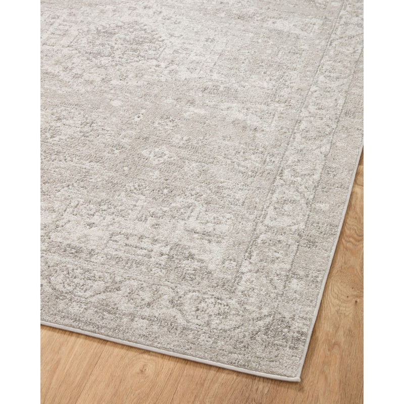 Alexander Home Colette Distressed Botanical Area Rug