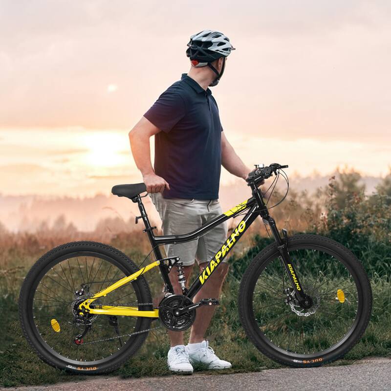 26 Inch Curved Mountain Bike with Iron Frame 21 Speed, Dual Disc Brakes, Dual Shock Absorption, All Terrain Tires for Trail - Black