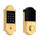 Option Lifetime Polished Brass
