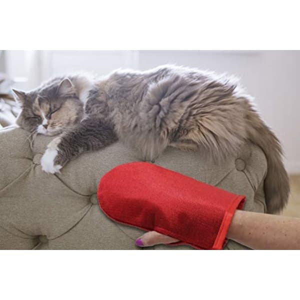 Shop Evercare Pet Hair Remover Glove Pic Up Mitt 2 And Magic